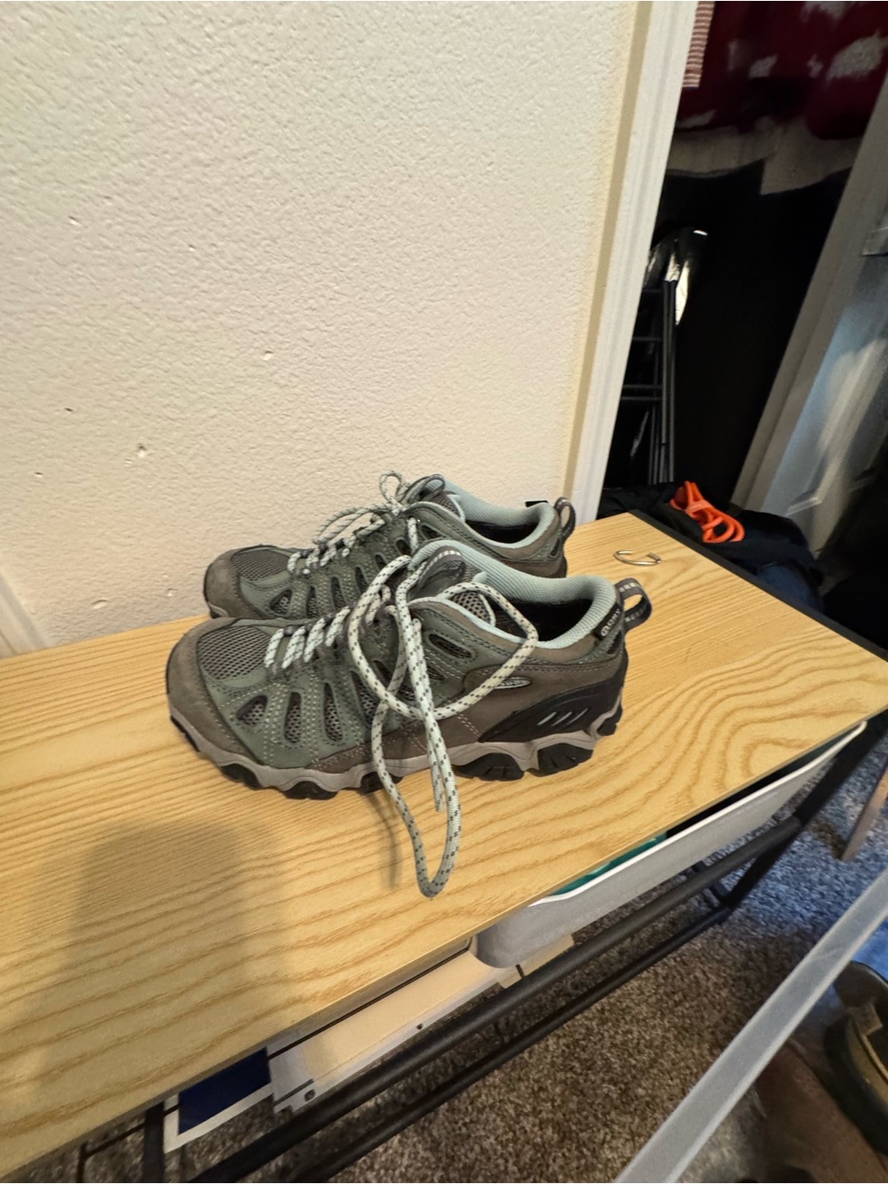 Oboz Hiking Shoes